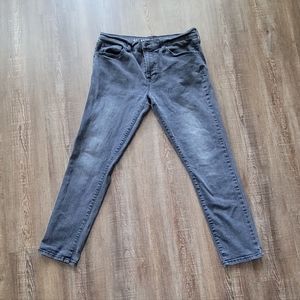 Arizona Jean Co. Skinny Fit Jean(Gray)